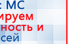 СКЭНАР-1-НТ (исполнение 01)  купить в Ярославле, Аппараты Скэнар купить в Ярославле, Скэнар официальный сайт - denasvertebra.ru